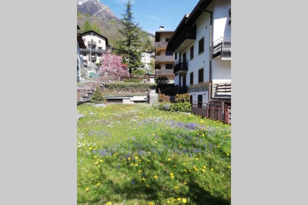 Ferrari'S: Bright Apartment With Magnificent View Chiesa in Valmalenco Buitenkant foto